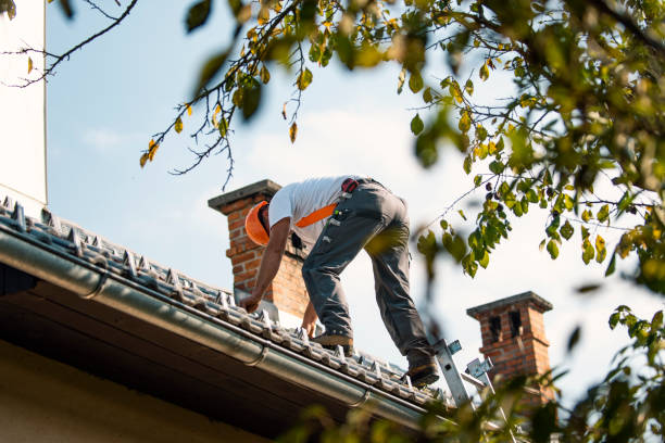 Best Emergency Roof Repair  in Salem Heights, OH