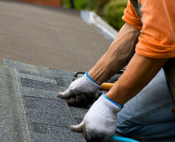 Best Storm Damage Roof Repair  in Salem Heights, OH