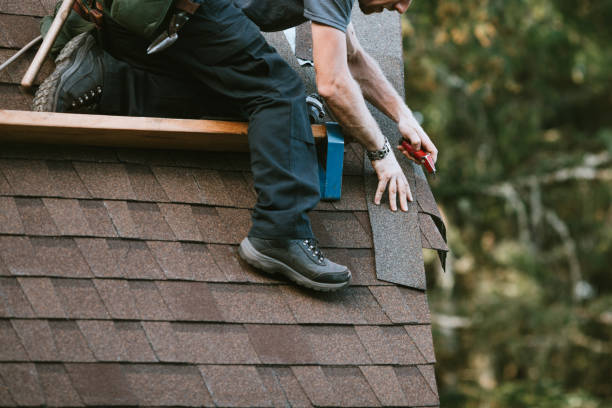 Best Roof Gutter Cleaning  in Salem Heights, OH